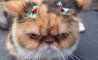 Fun Pic - Donnerstags Fun PicDump #145 - 126