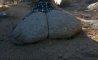 Fun Pic - Donnerstags Fun PicDump #145 - 46