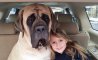 Fun Pic - Donnerstags Fun PicDump #145 - 58