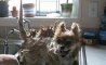 Fun Pic - Donnerstags Fun PicDump #145 - 70