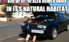 Fun Pic - Donnerstags Fun PicDump #145 - 98