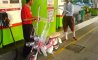 Fun Pic - Donnerstags Fun PicDump #146 - 65