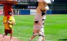 Fun Pic - Donnerstags Fun PicDump #148 - 14