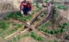 Fun Pic - Donnerstags Fun PicDump #148 - 166