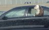 Fun Pic - Donnerstags Fun PicDump #148 - 62