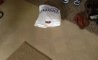 Fun Pic - Donnerstags Fun PicDump #149 - 100
