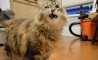 Fun Pic - Donnerstags Fun PicDump #149 - 120