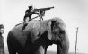 Fun Pic - Donnerstags Fun PicDump #149 - 28