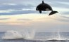Fun Pic - Donnerstags Fun PicDump #149 - 39
