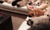 Fun Pic - Donnerstags Fun PicDump #149 - 60