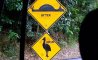 Fun Pic - Donnerstags Fun PicDump #156 - 33