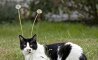 Fun Pic - Donnerstags Fun PicDump #156 - 69