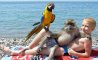 Fun Pic - Donnerstags Fun PicDump #157 - 5