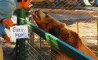 Fun Pic - Donnerstags Fun PicDump #157 - 53
