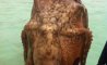 Fun Pic - Donnerstags Fun PicDump #161 - 12