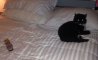 Fun Pic - Donnerstags Fun PicDump #161 - 44