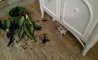 Fun Pic - Donnerstags Fun PicDump #162 - 34