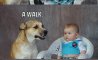 Fun Pic - Donnerstags Fun PicDump #164 - 100