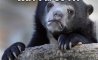 Fun Pic - Donnerstags Fun PicDump #164 - 120