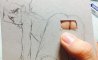Fun Pic - Donnerstags Fun PicDump #165 - 131