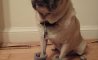 Fun Pic - Donnerstags Fun PicDump #165 - 143
