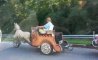 Fun Pic - Donnerstags Fun PicDump #165 - 45