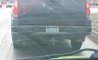 Fun Pic - Donnerstags Fun PicDump #176 - 95