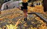 Fun Pic - Donnerstags Fun PicDump #178 - 104