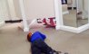 Fun Pic - Donnerstags Fun PicDump #178 - 112