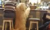 Fun Pic - Donnerstag Fun PicDump #205 - 106