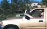 Fun Pic - Donnerstag Fun PicDump #205 - 50