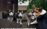 Fun Pic - Donnerstag Fun PicDump #205 - 52