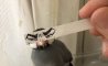 Fun Pic - PicDump Revival - 69