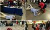 Fun Pic - Donnnerstag Fun PicDump #264 - 95