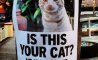 Fun Pic - Donnerstag Fun PicDump #267 - 51