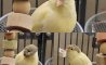 Fun Pic - Donnerstag Fun PicDump #286 - 102