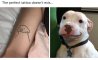 Fun Pic - Donnerstag Fun PicDump #306 - 22