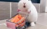 Fun Pic - Donnerstag Fun PicDump #330 - 64