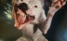 Fun Pic - Donnerstag Fun PicDump #353 - 71