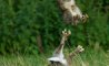 Fun Pic - Donnerstag Fun PicDump #366 - 77