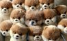 Fun Pic - Donnerstag Fun PicDump #400! - 100