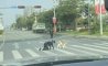 Fun Pic - Donnerstag Fun PicDump #405 - 114