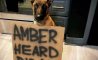 Fun Pic - Donnerstag Fun PicDump #422 - 85