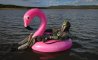 Fun Pic - Donnerstag Fun PicDump #423 - 8