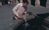 Fun Pic - Donnerstag Fun PicDump #447 - 31