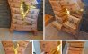 Fun Pic - Donnerstag Fun PicDump #455 - 76