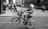 Fun Pic - Donnerstag Fun PicDump #470 - 149
