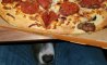 Fun Pic - Donnerstag Fun PicDump #470 - 69