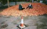 Fun Pic - Donnerstag Fun PicDump #472 - 29