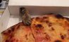 Fun Pic - Donnerstag Fun PicDump #494 - 106